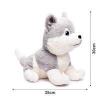 Homa Husky Dog Stuffed Animal Soft Plushie Toy | Puppy Soft Toy | Adorable Gifts for Kids and Adult | Glitter Eyes Soft Toy | Plush Soft Toys for Baby Boys and Girls Kids ( 30Cm) - Homa Bazaar