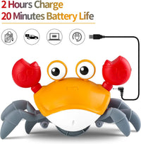 Homa Crawling Crab Baby Musical Kids - Homa Bazaar